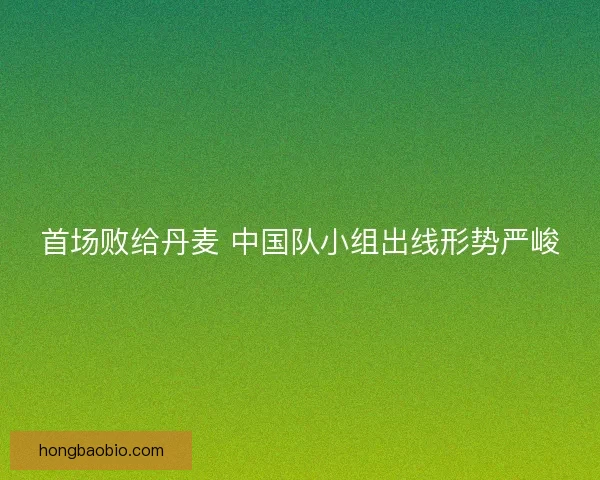 首场败给丹麦 中国队小组出线形势严峻