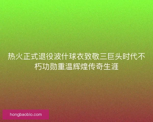 热火正式退役波什球衣致敬三巨头时代不朽功勋重温辉煌传奇生涯