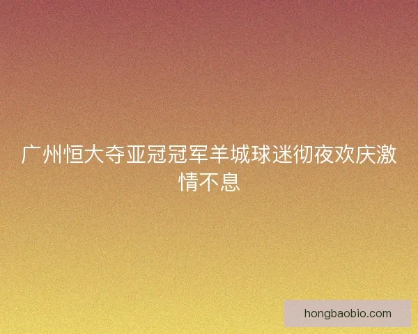 广州恒大夺亚冠冠军羊城球迷彻夜欢庆激情不息